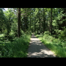 Der parallel zur B191 verlaufende Radweg